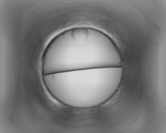 X0000111151519200906301027