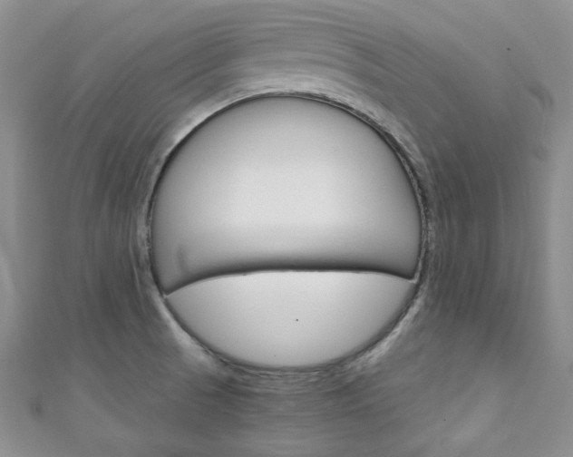 X0000111151521200906301027