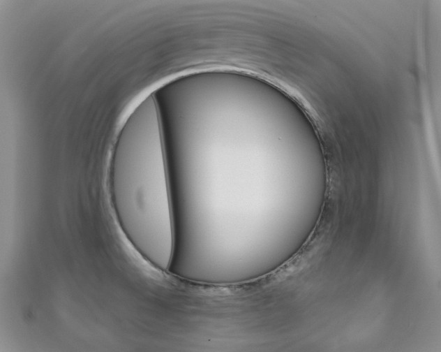 X0000111151524200906301027