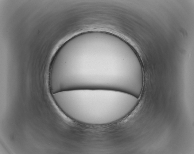 X0000111151525200906301027
