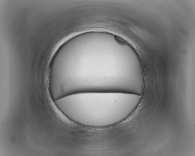 X0000111151526200906301027