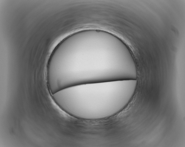 X0000111151527200906301027