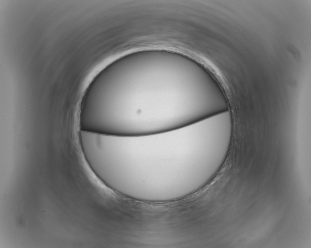 X0000111151528200906301027
