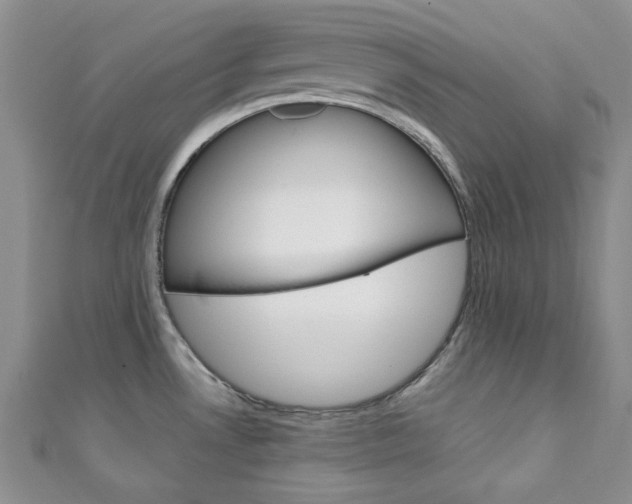 X0000111151530200906301027