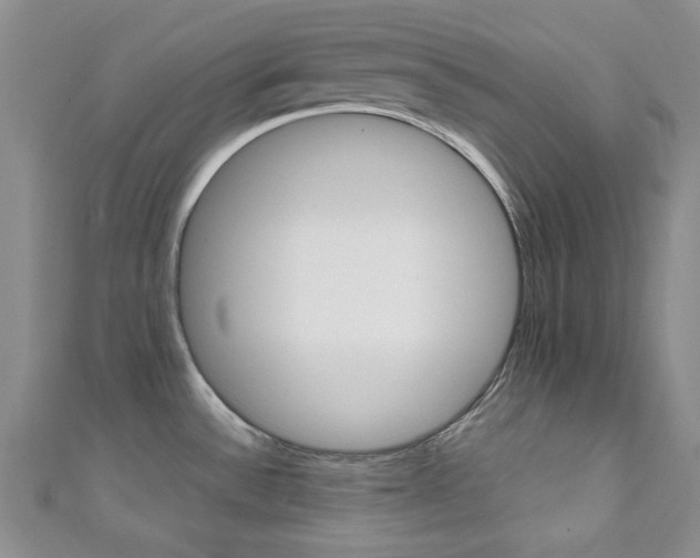 X0000111151532200906301027