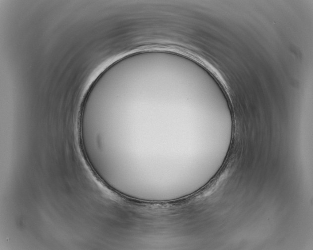 X0000111151533200906301027