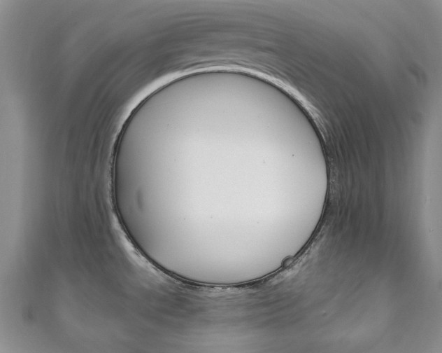X0000111151534200906301027