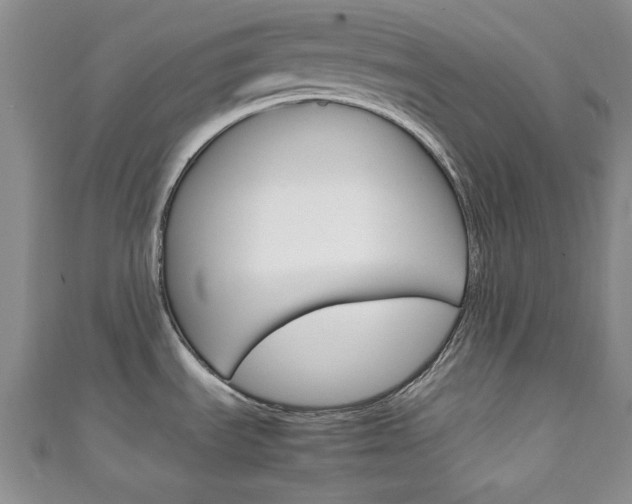 X0000111151535200906301027