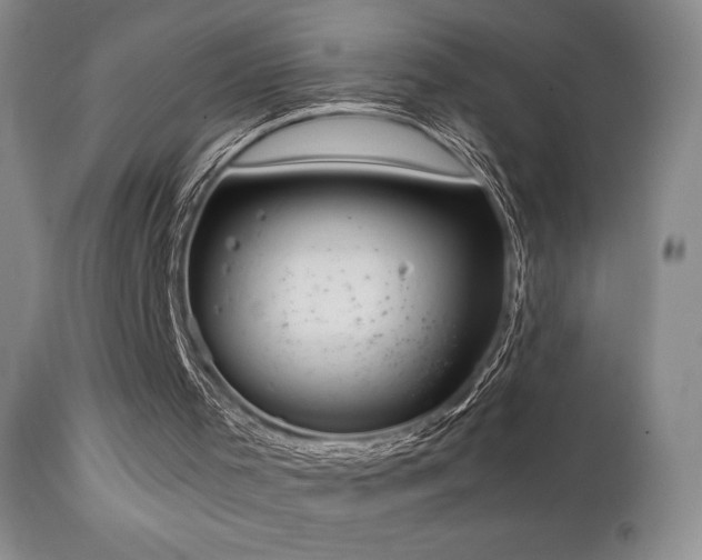 X0000111150001200906301348