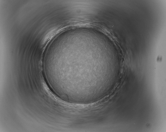 X0000111150002200906301348