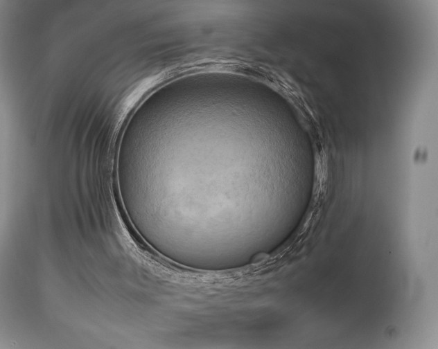 X0000111150003200906301348