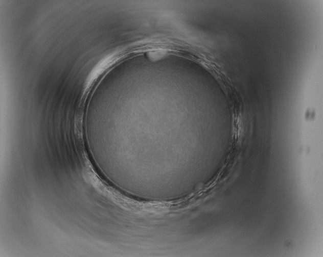 X0000111150004200906301348