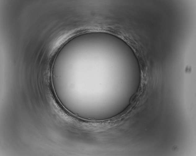 X0000111150005200906301348