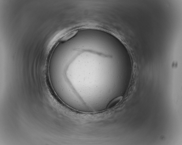 X0000111150007200906301348