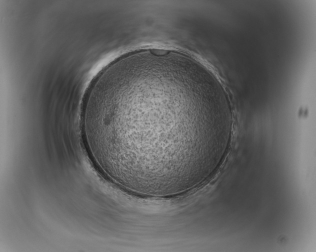 X0000111150008200906301348