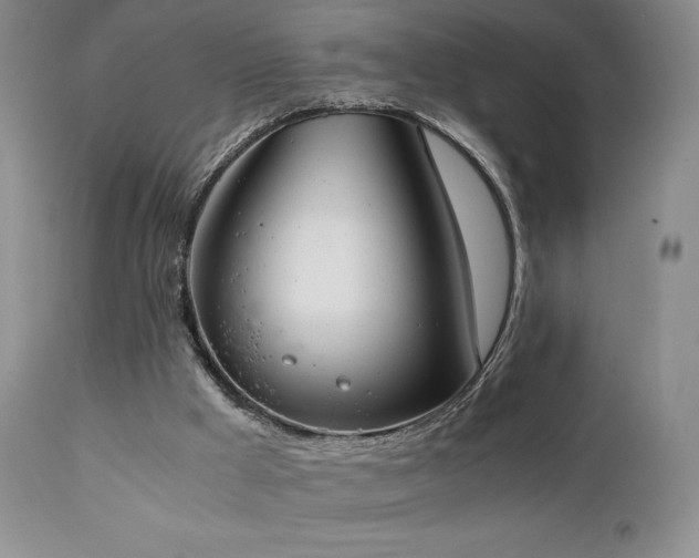 X0000111150009200906301348