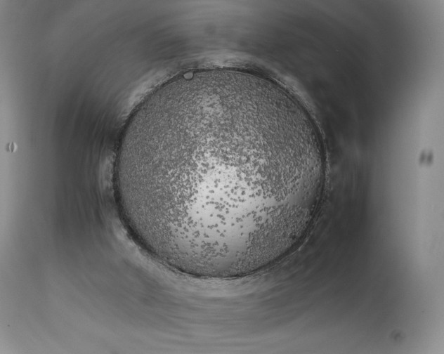 X0000111150010200906301348