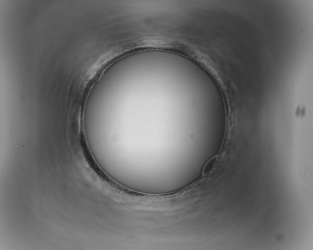 X0000111150011200906301348