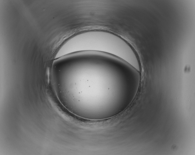 X0000111150013200906301348
