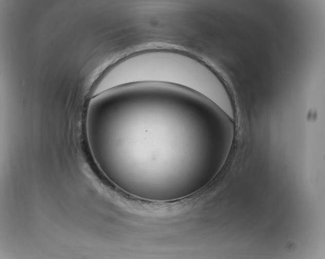 X0000111150015200906301348