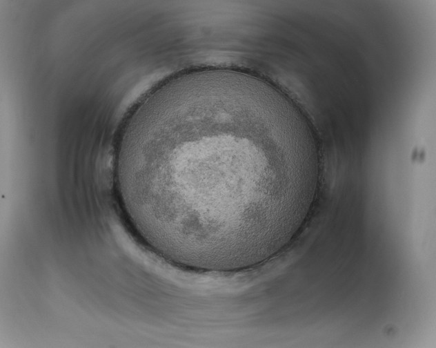 X0000111150016200906301348