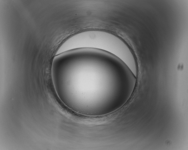 X0000111150017200906301348