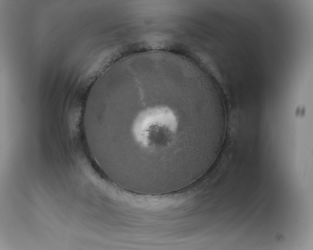 X0000111150018200906301348