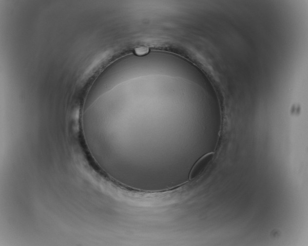 X0000111150019200906301348