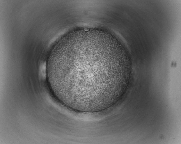 X0000111150020200906301348