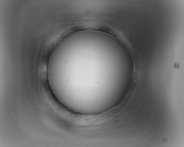 X0000111150021200906301348