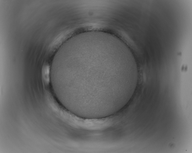 X0000111150022200906301348
