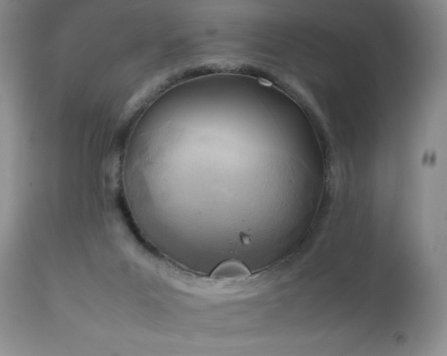 X0000111150023200906301347