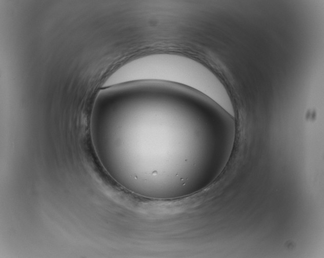 X0000111150025200906301347