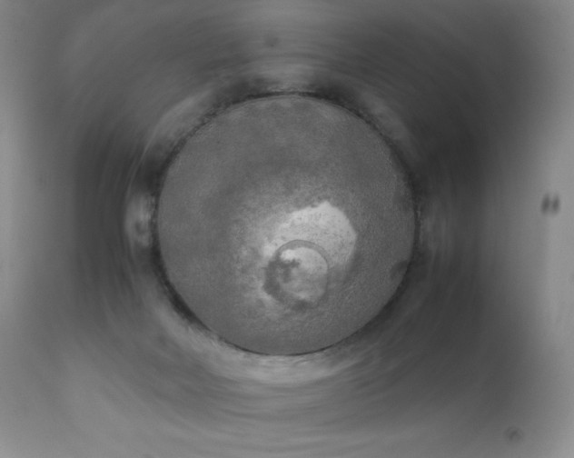 X0000111150026200906301347