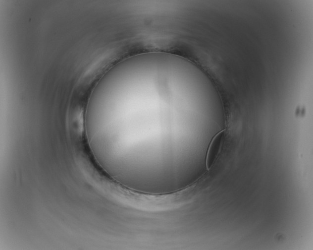 X0000111150027200906301347