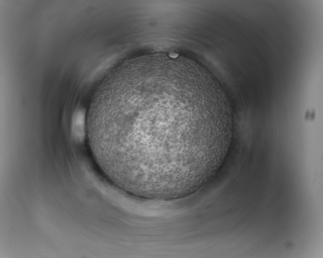 X0000111150028200906301347