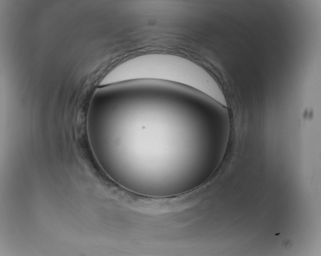 X0000111150029200906301347