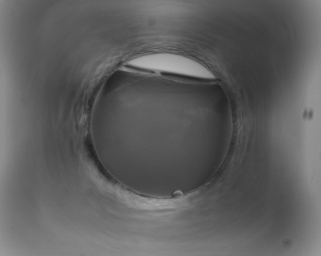 X0000111150031200906301347