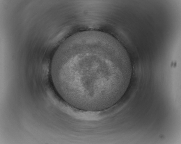 X0000111150032200906301347