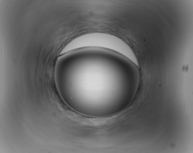 X0000111150033200906301347