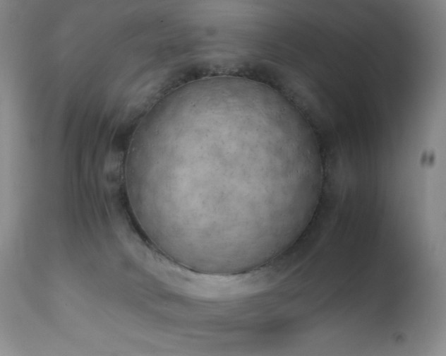 X0000111150034200906301347