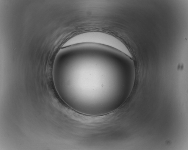 X0000111150035200906301347