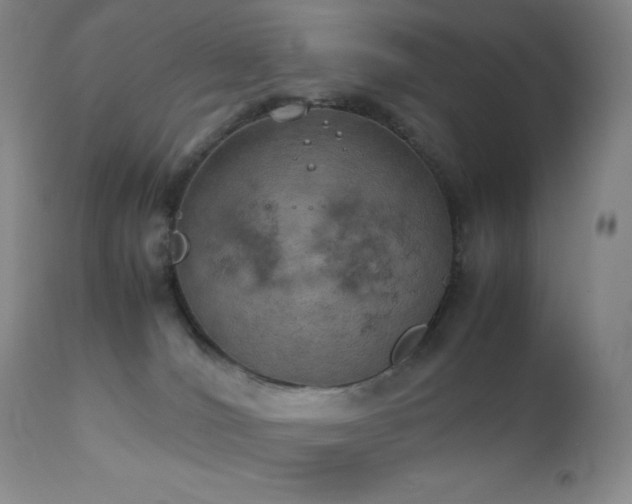 X0000111150036200906301347