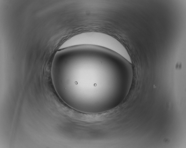 X0000111150037200906301347