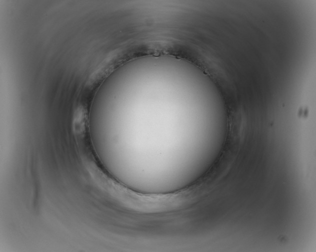 X0000111150038200906301347