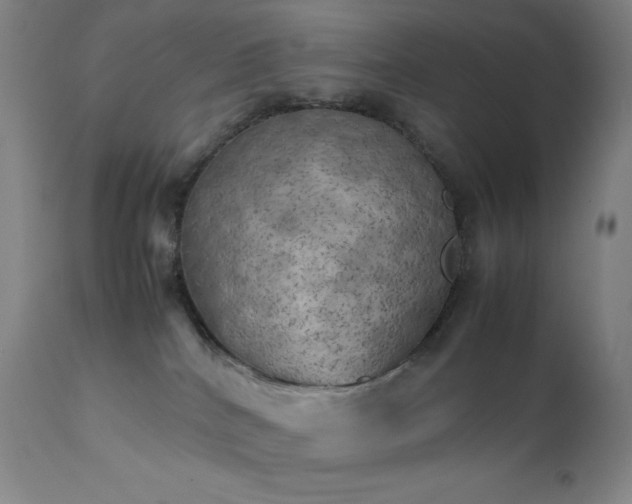 X0000111150040200906301347