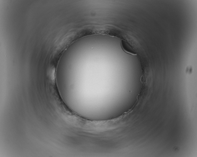 X0000111150041200906301347