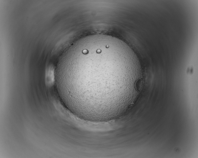 X0000111150042200906301347