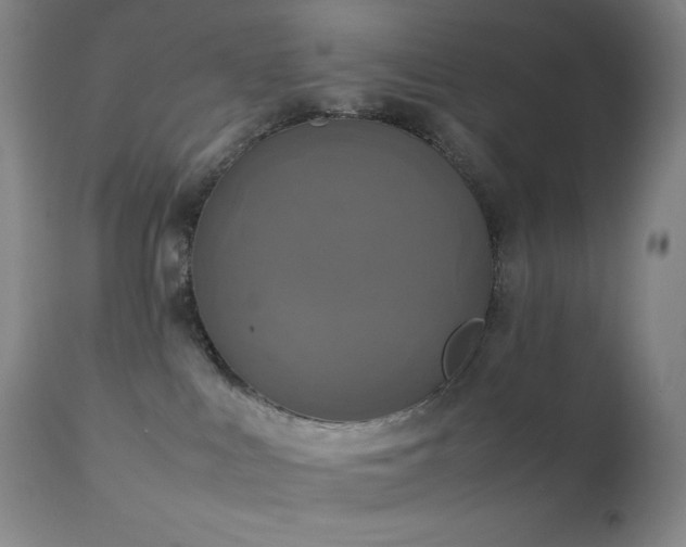 X0000111150043200906301347