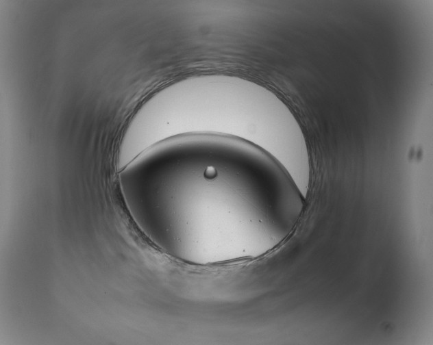 X0000111150045200906301347